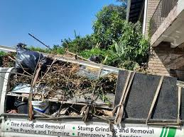 Best Hoarding Cleanup  in Celebration, FL