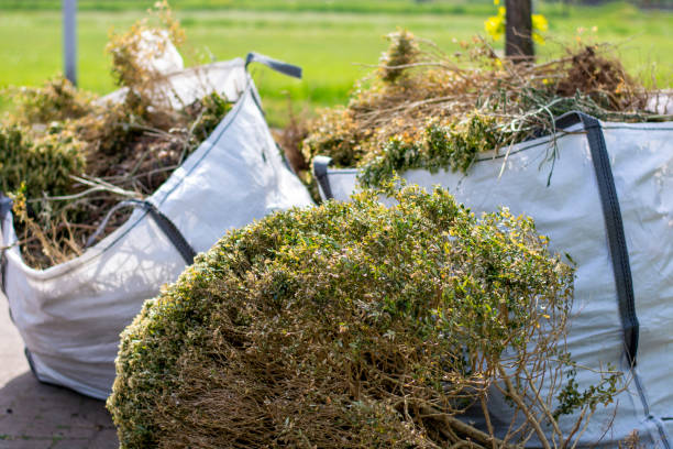 Best Shed Removal  in Celebration, FL