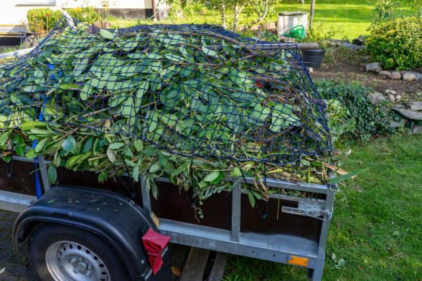 Best Yard Waste Removal  in Celebration, FL